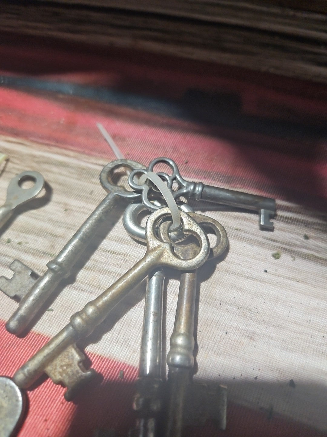 Image #3